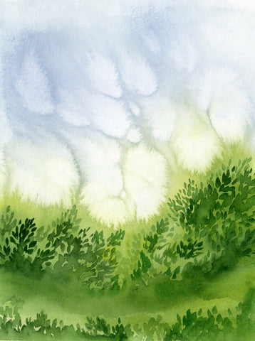 Lush 3