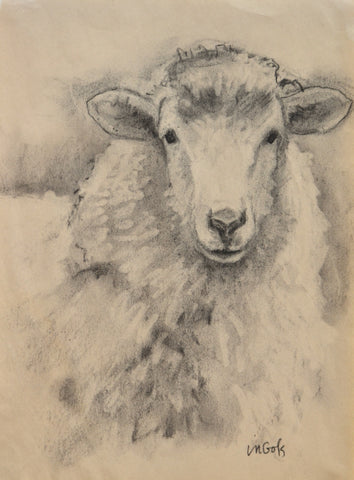 Sheep Study III