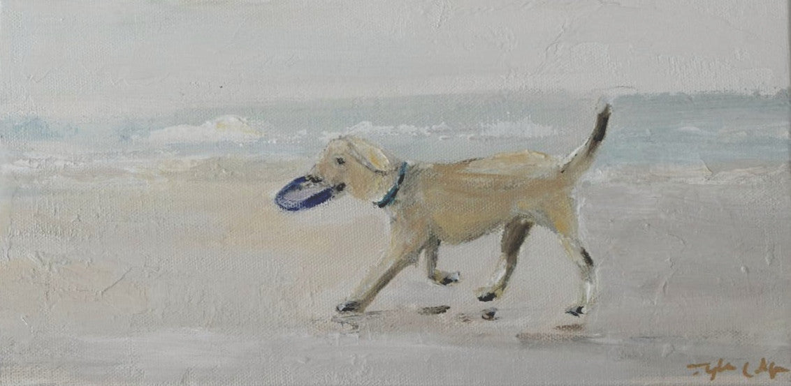 Off Leash