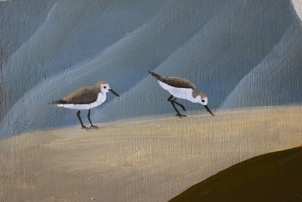 Pelican and Sandpipers