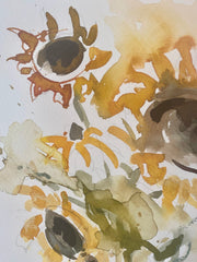 Sunflower Study