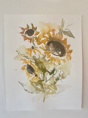 Sunflower Study